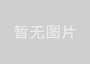 鹽城中農(nóng)國(guó)業(yè)種子種苗業(yè)務(wù)